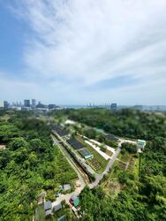 Normanton Park (D5), Apartment #414591551